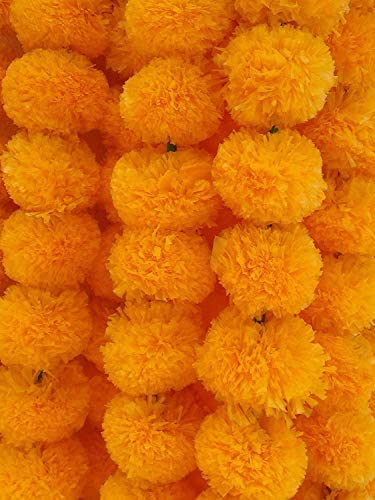 Orange marigold flower