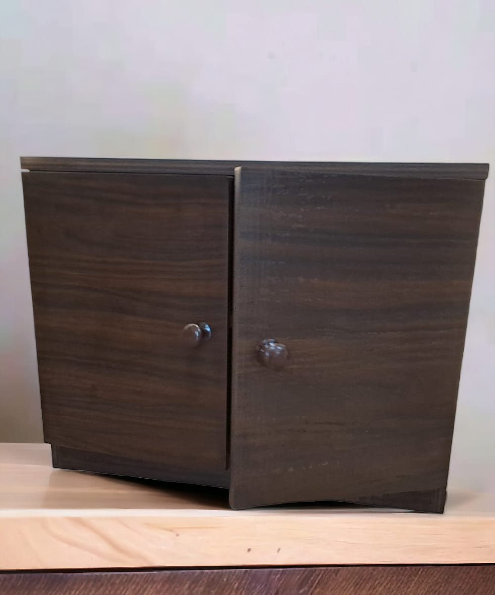 2 Door Engineered Wood Cabinet|