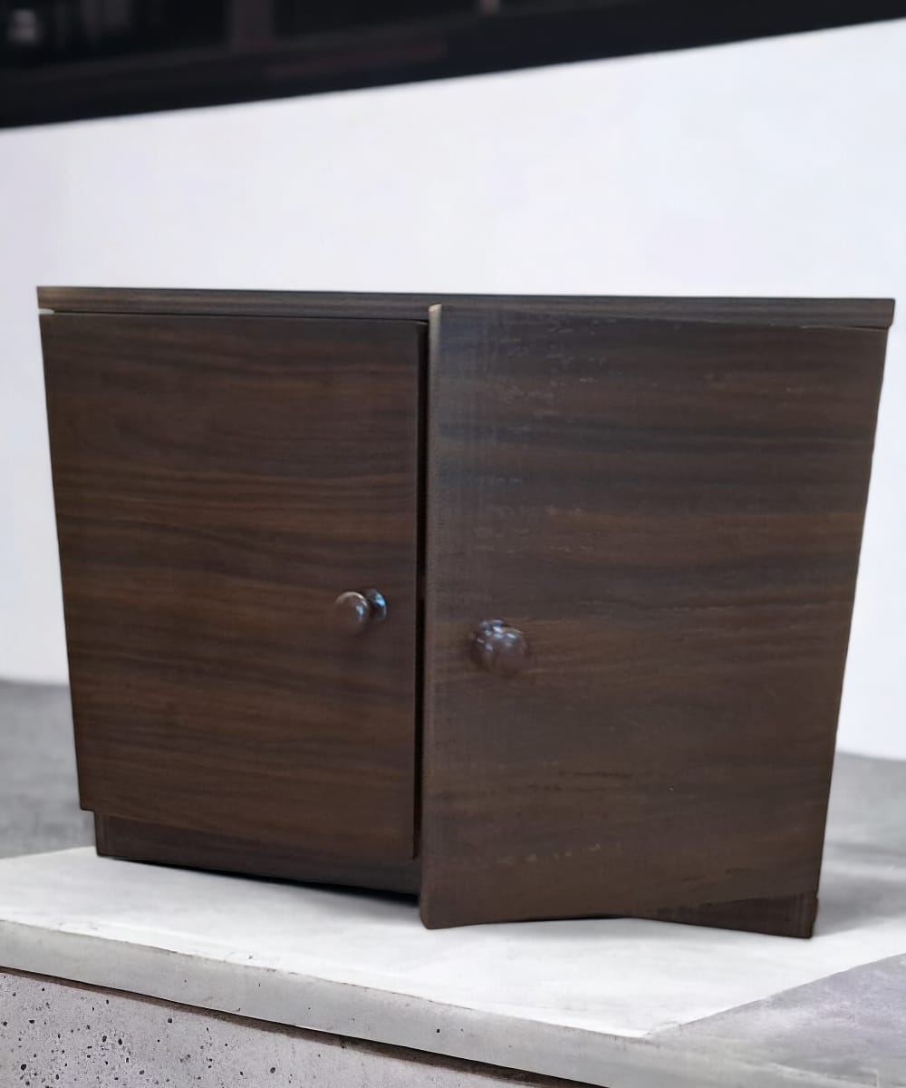 2 Door Engineered Wood Cabinet|