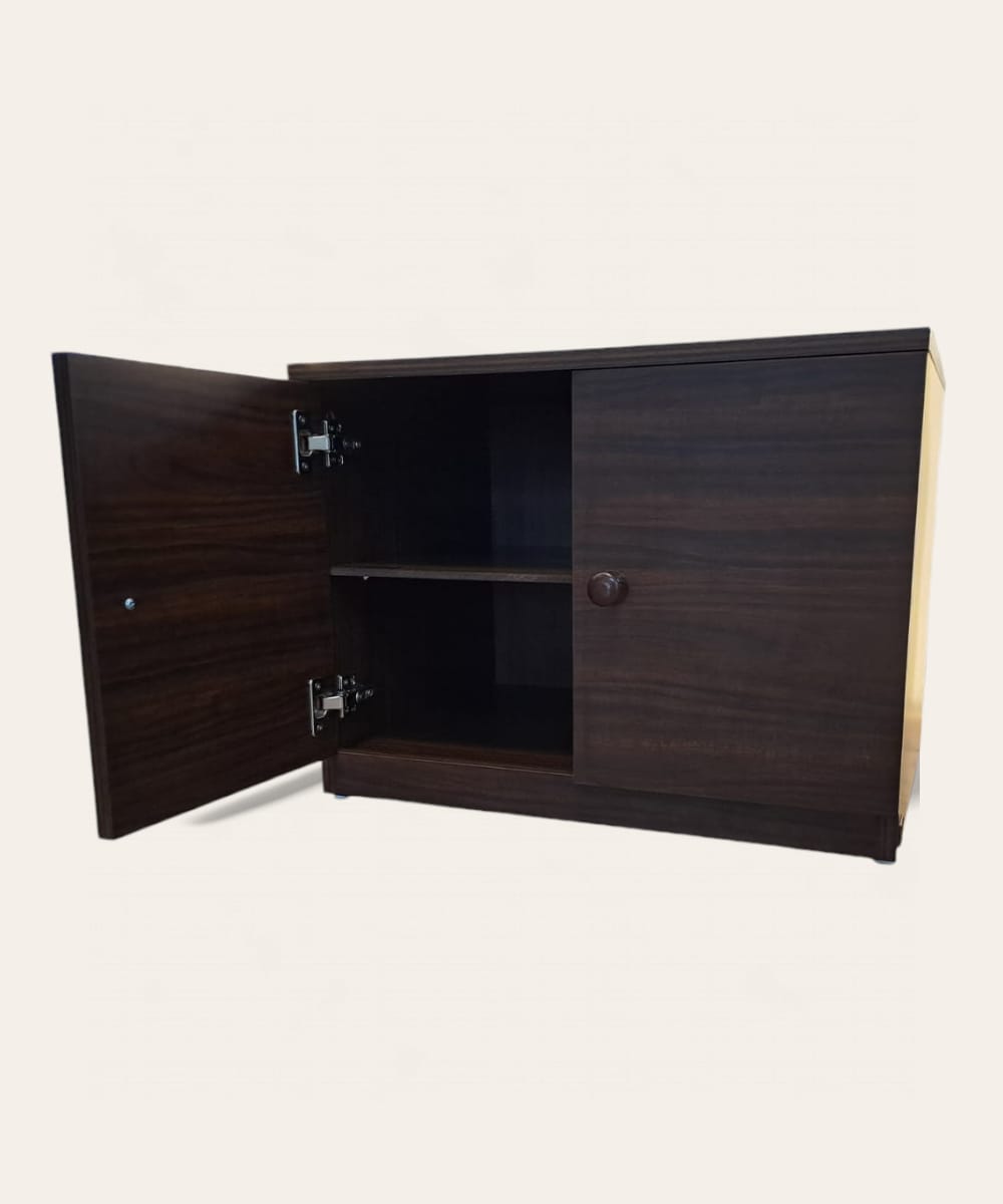 2 Door Engineered Wood Cabinet|