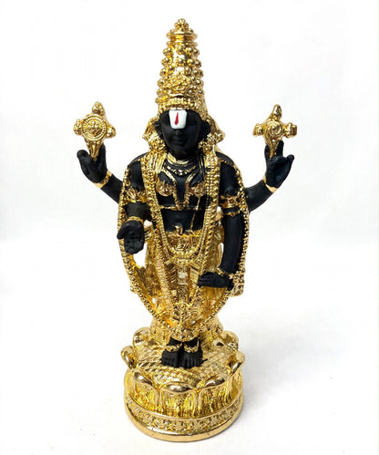 Tirupati Balaji Statue 4