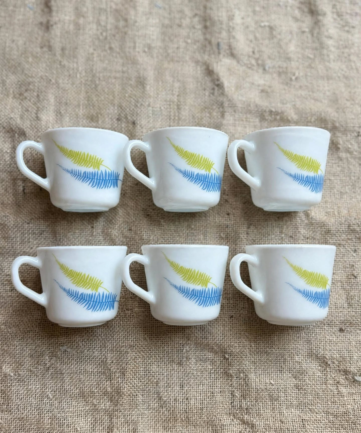 Fern Leaf Tea Cup Set 6 Pcs